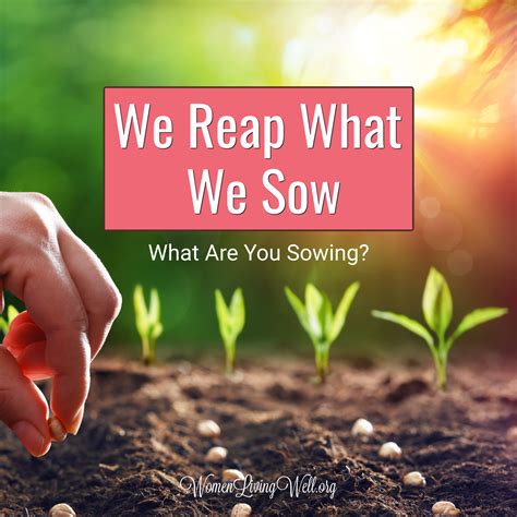 [Fairwind] Reap What You Sow [Eng] .